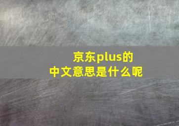 京东plus的中文意思是什么呢