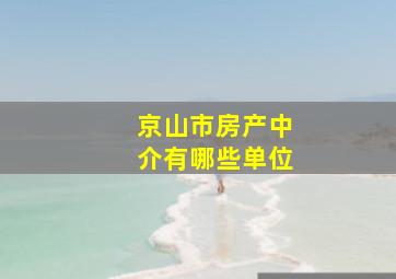 京山市房产中介有哪些单位