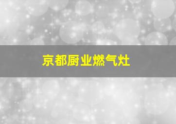 京都厨业燃气灶