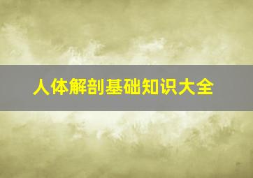 人体解剖基础知识大全