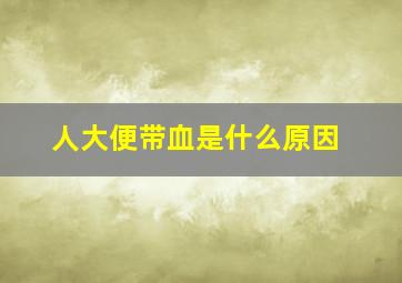 人大便带血是什么原因