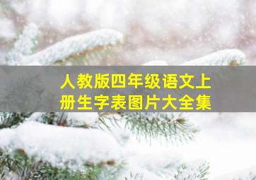 人教版四年级语文上册生字表图片大全集