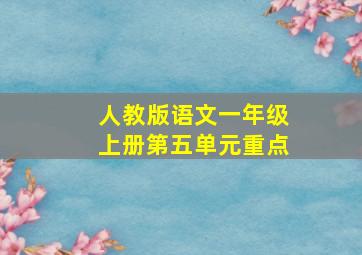 人教版语文一年级上册第五单元重点