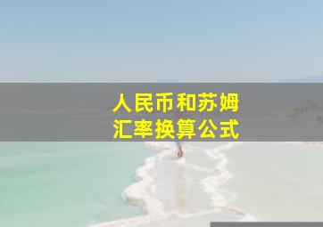 人民币和苏姆汇率换算公式