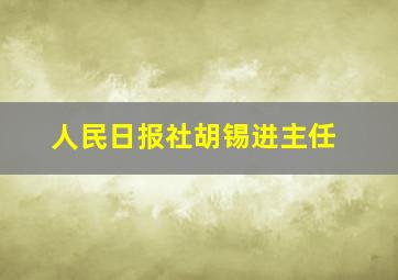 人民日报社胡锡进主任