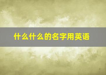 什么什么的名字用英语