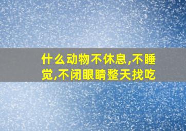 什么动物不休息,不睡觉,不闭眼睛整天找吃