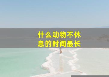 什么动物不休息的时间最长