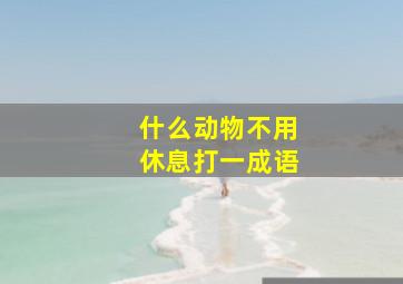 什么动物不用休息打一成语