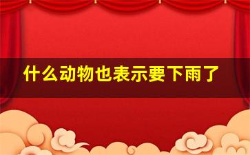 什么动物也表示要下雨了