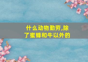 什么动物勤劳,除了蜜蜂和牛以外的