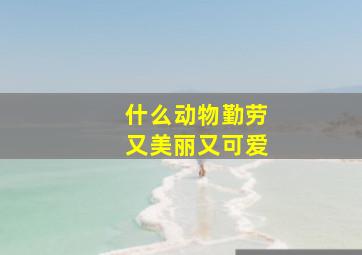 什么动物勤劳又美丽又可爱