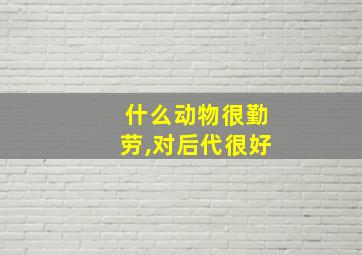 什么动物很勤劳,对后代很好