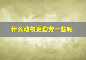 什么动物更勤劳一些呢