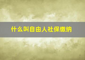 什么叫自由人社保缴纳