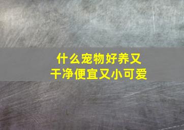 什么宠物好养又干净便宜又小可爱