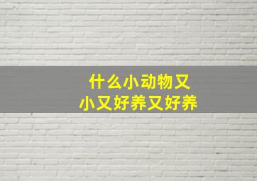 什么小动物又小又好养又好养