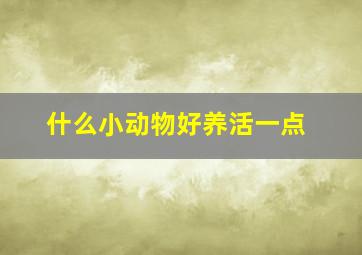 什么小动物好养活一点