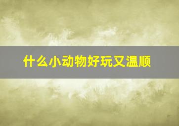 什么小动物好玩又温顺