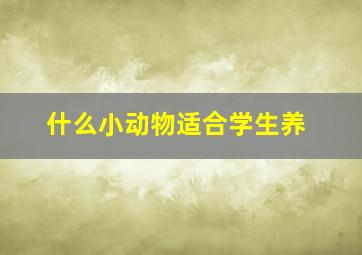 什么小动物适合学生养