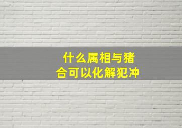 什么属相与猪合可以化解犯冲