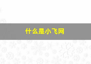 什么是小飞网