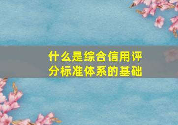 什么是综合信用评分标准体系的基础