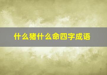 什么猪什么命四字成语