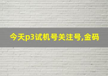 今天p3试机号关注号,金码