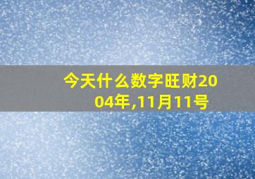 今天什么数字旺财2004年,11月11号