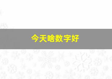 今天啥数字好