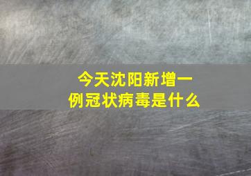 今天沈阳新增一例冠状病毒是什么