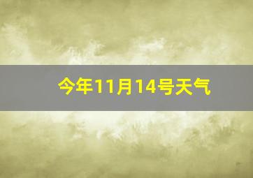 今年11月14号天气