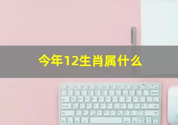 今年12生肖属什么