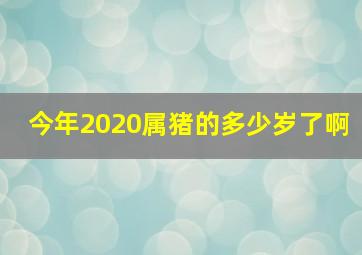 今年2020属猪的多少岁了啊