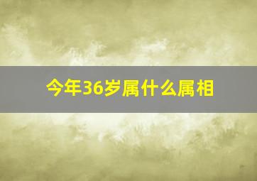 今年36岁属什么属相