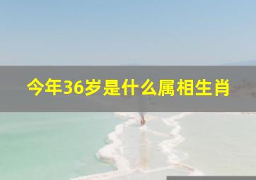 今年36岁是什么属相生肖