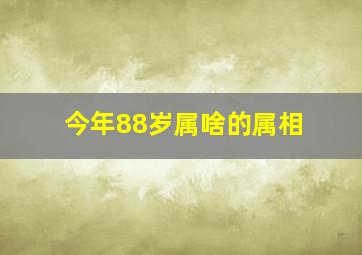 今年88岁属啥的属相