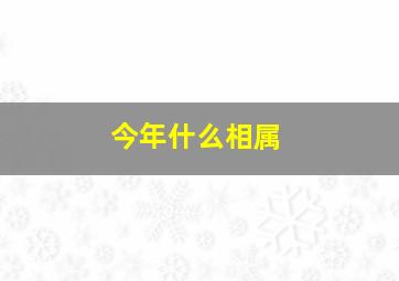 今年什么相属