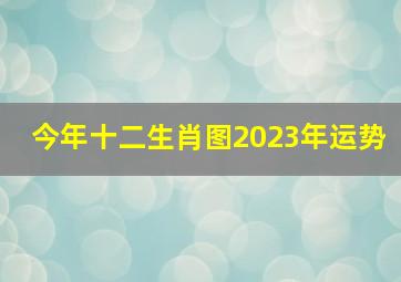 今年十二生肖图2023年运势