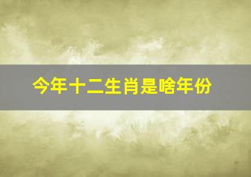 今年十二生肖是啥年份