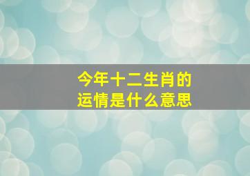 今年十二生肖的运情是什么意思