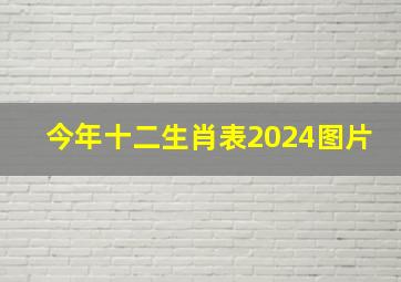 今年十二生肖表2024图片