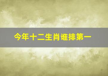 今年十二生肖谁排第一