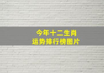 今年十二生肖运势排行榜图片