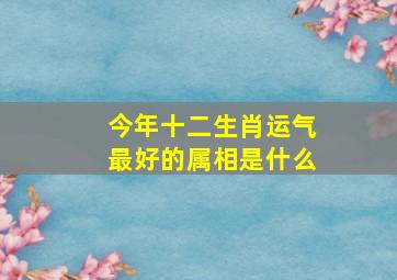 今年十二生肖运气最好的属相是什么