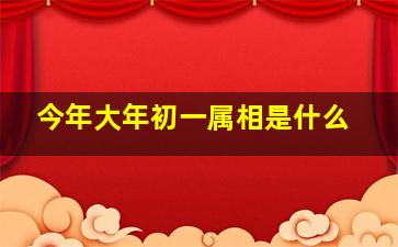 今年大年初一属相是什么