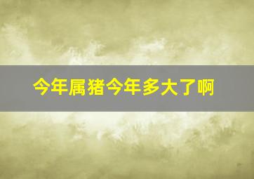 今年属猪今年多大了啊