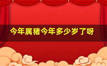 今年属猪今年多少岁了呀