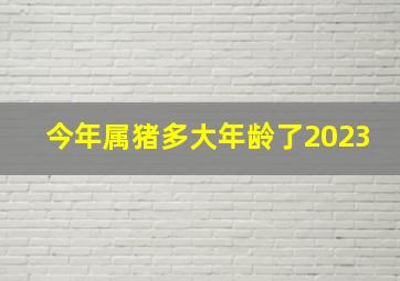 今年属猪多大年龄了2023